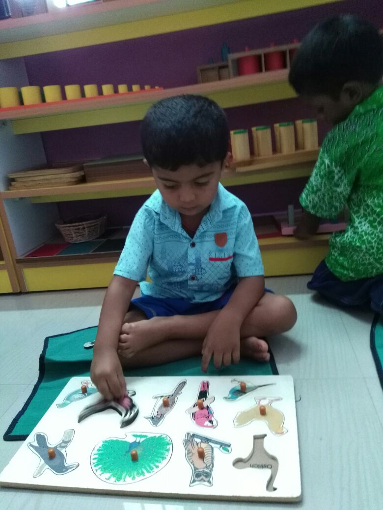 Summer Childcare Questions