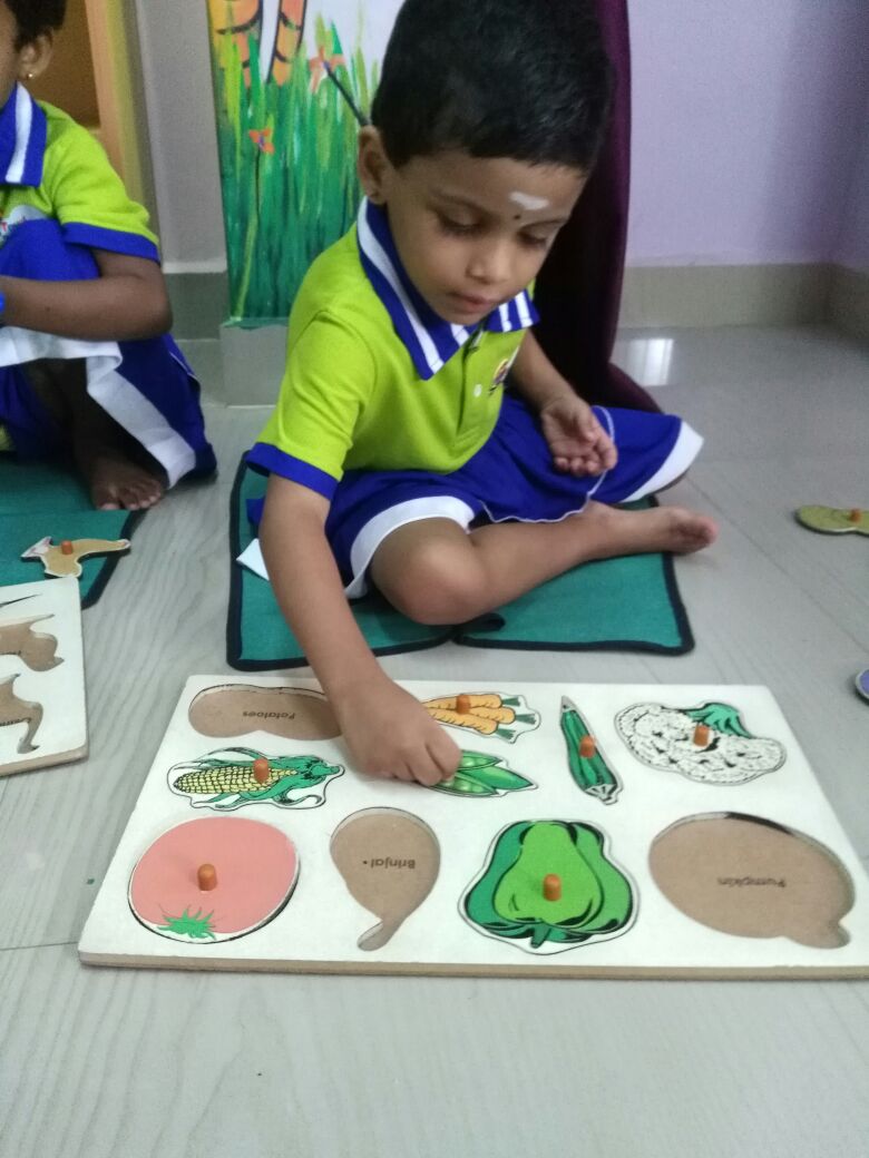 Summer Childcare Questions